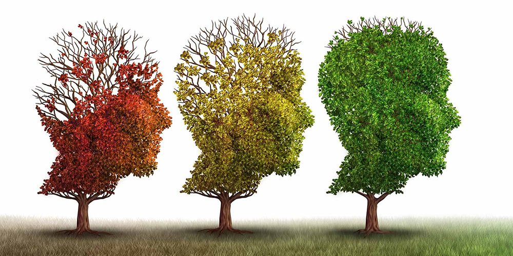 Project Aims To Find Most Potent Roots of Aging Brain’s Ailments