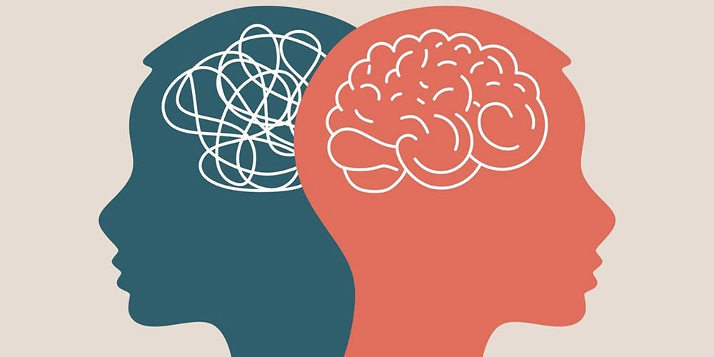 Image of two brains