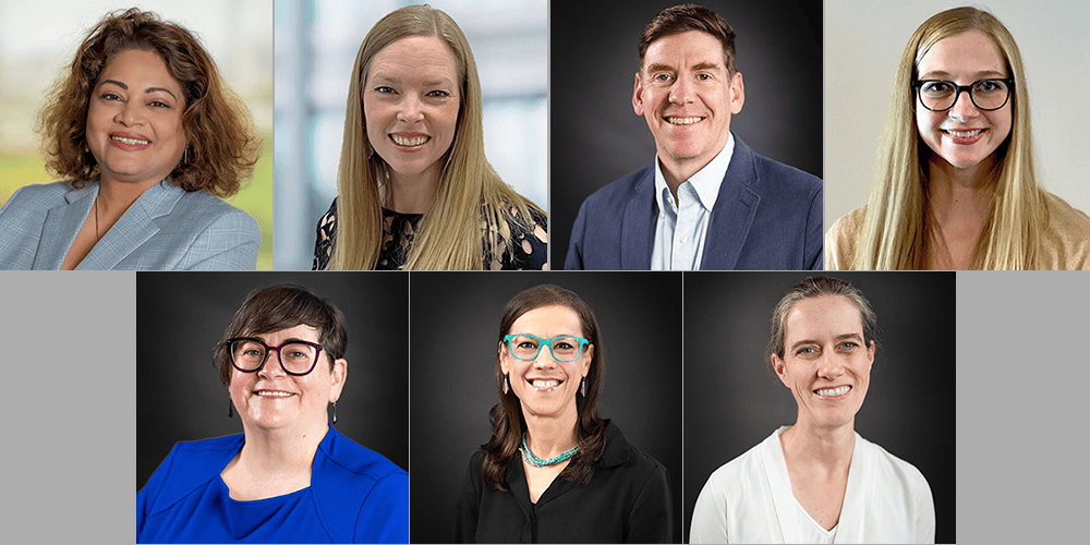 Seven new BBS faculty members