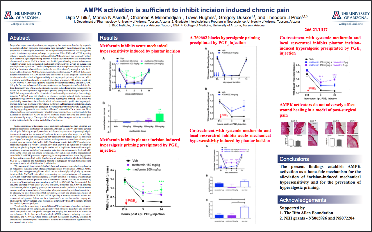 AMPK activation is sufficient to inhibit incision induced chronic pain