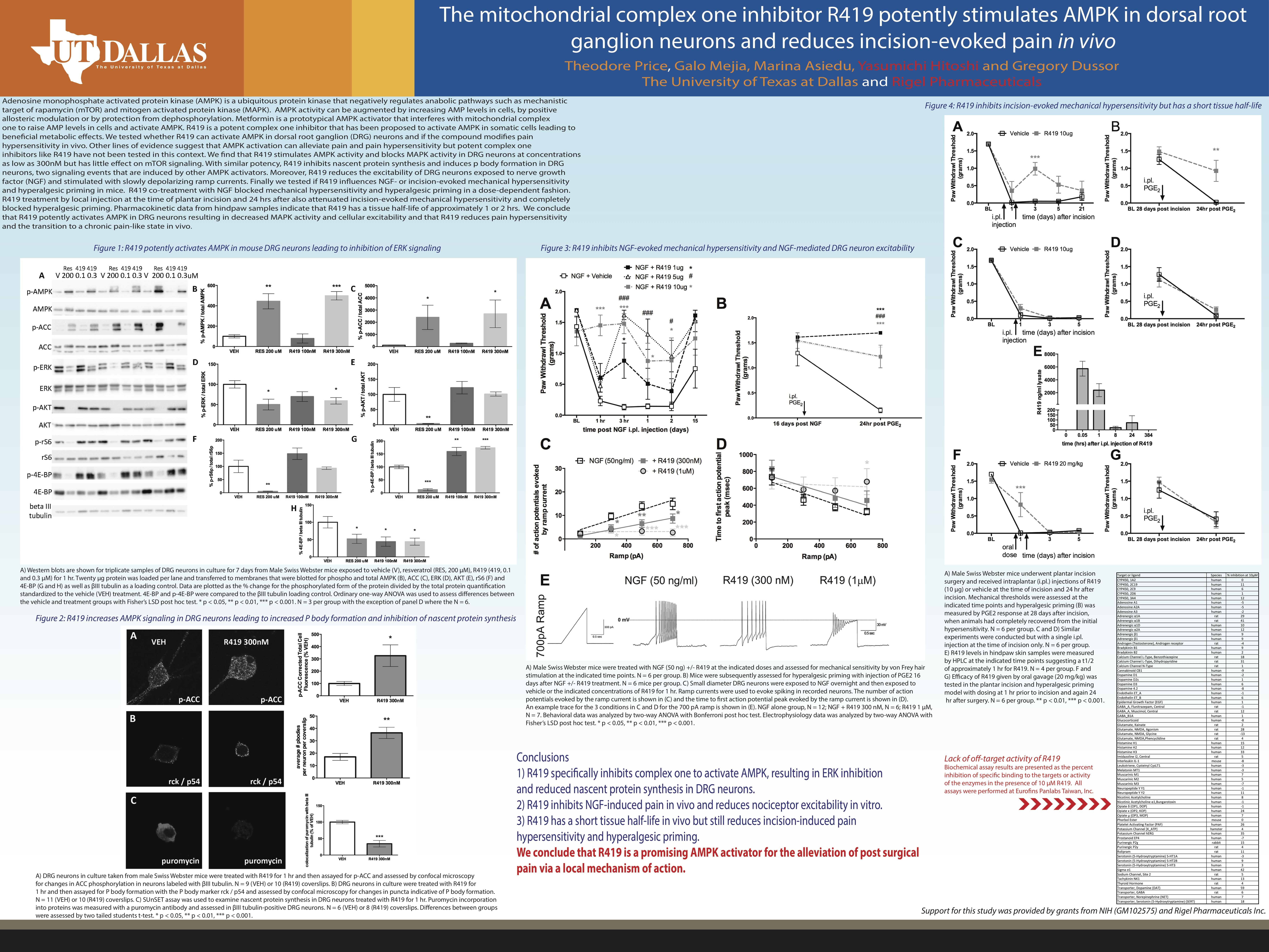 The mitochondrial complex one inhibitor R419 potently stimulates AMPK in dorsal root ganglion neurons and reduces incision-evoked pain in vivo