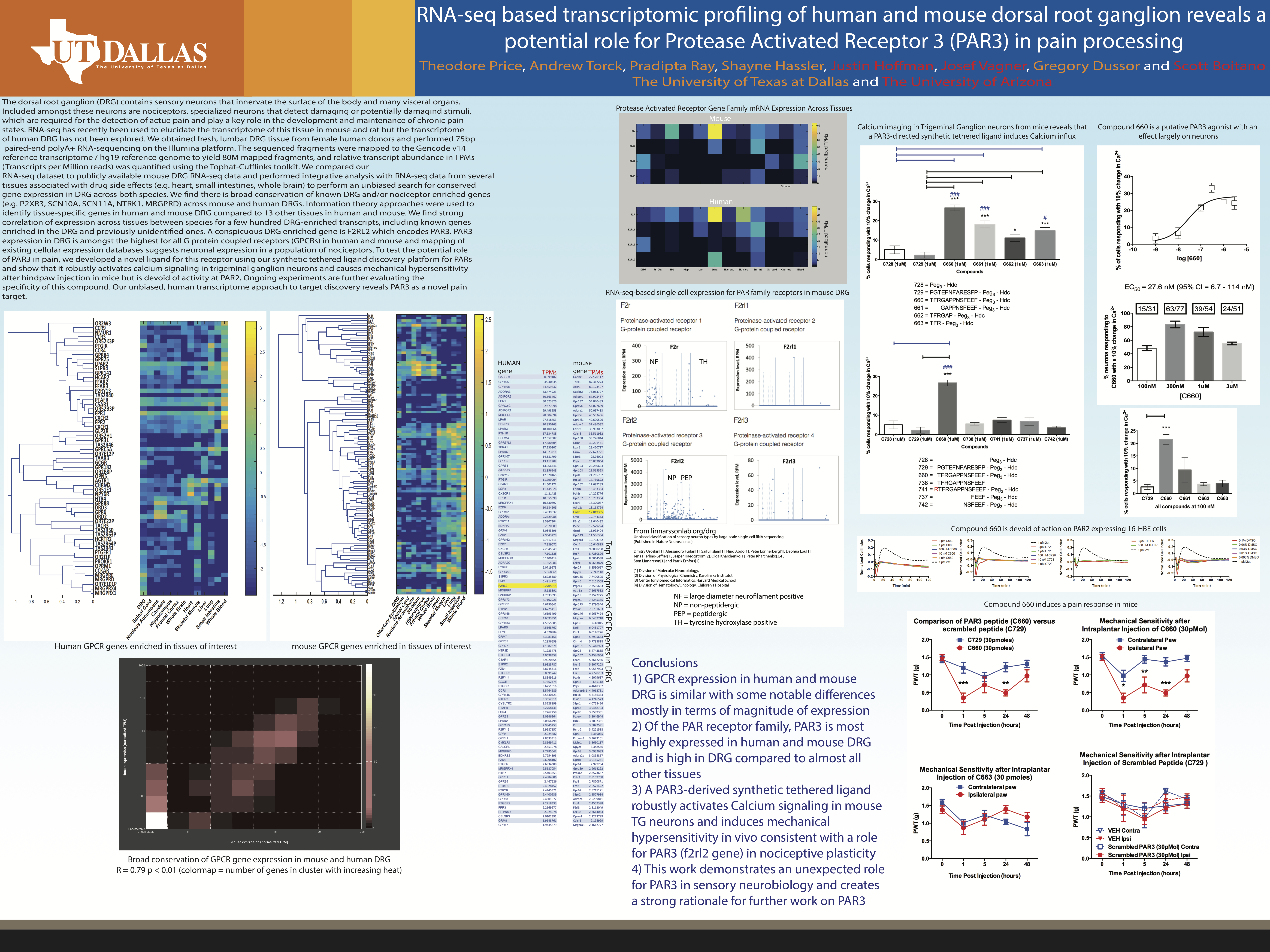 RNA-seq based transcriptomic profiling of human and mouse dorsal root ganglion reveals a potential role for Protease Activated Receptor 3 (PAR3) in pain processing