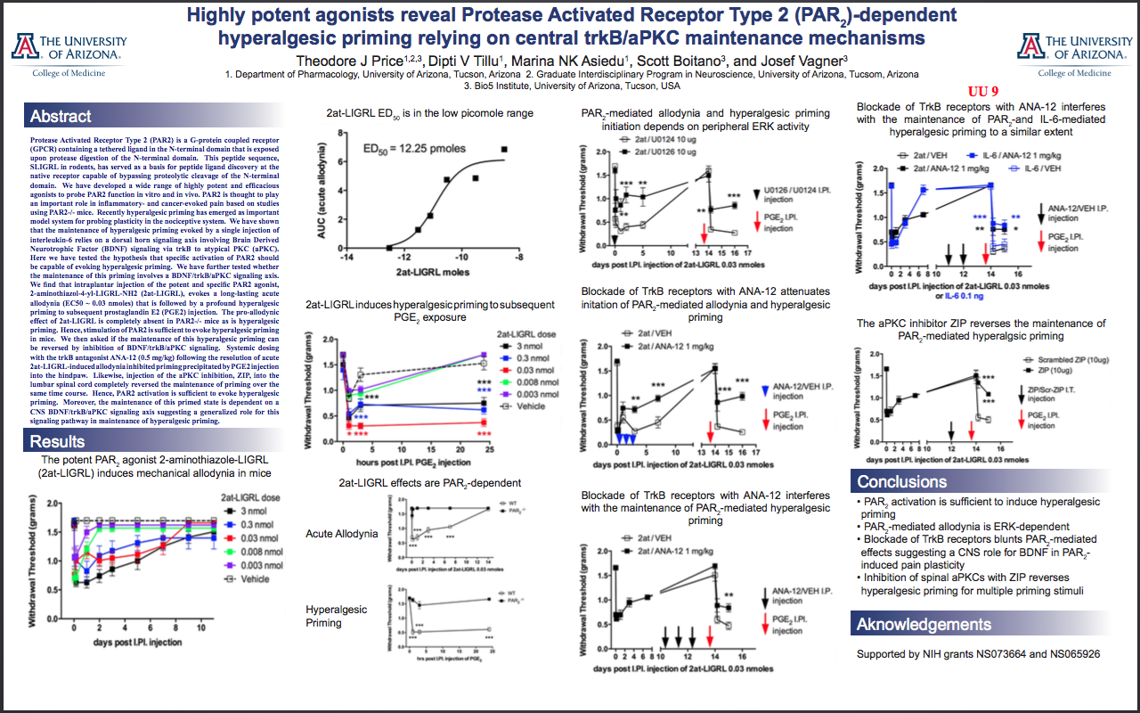 Highly potent agonists reveal Protease Activated Receptor Type 2 (PAR2)-dependent hyperalgesic priming relying on central trkB/aPKC maintenance mechanisms