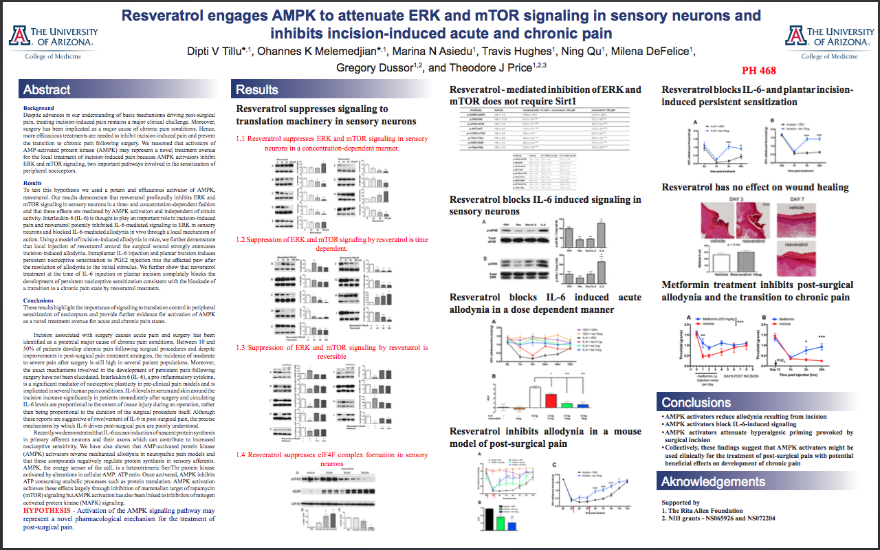 Resveratrol engages AMPK to attenuate ERK and mTOR signalling in sensory neurons and inhibits incision-induced acute and chronic pain