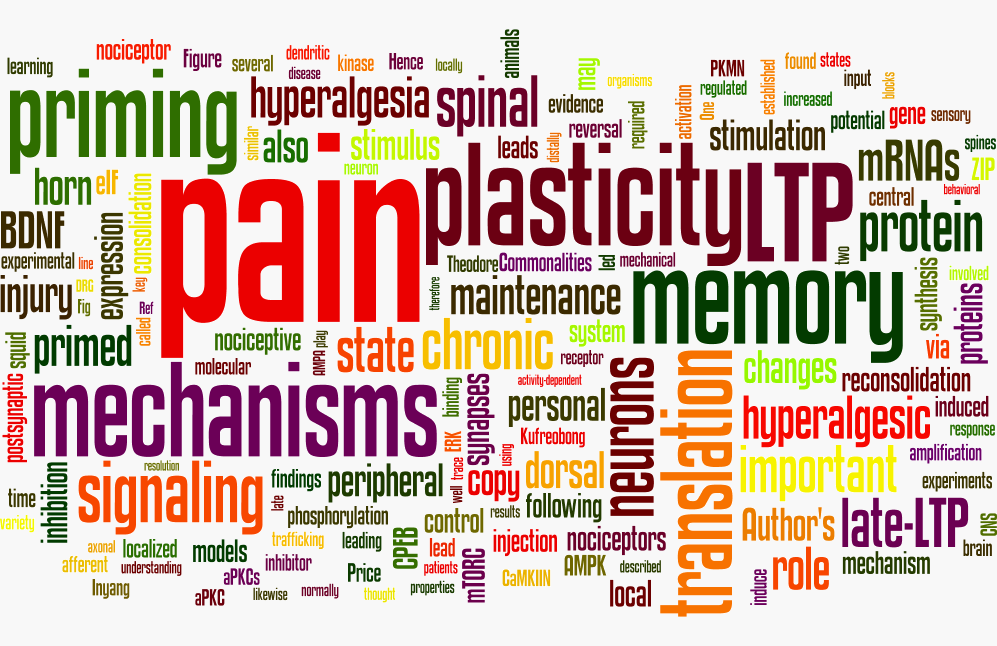 Pain and Memory Wordle