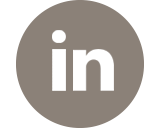 LinkedIn Icon