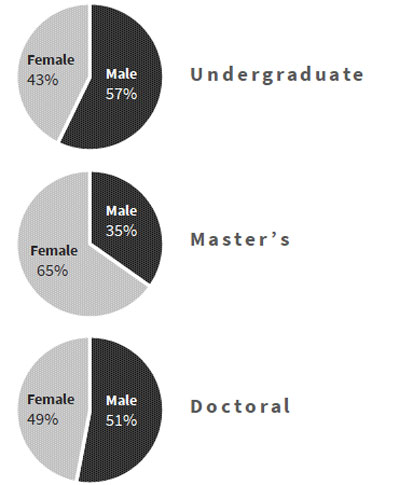 Pie graphs of gender ratio for undergraduate, master's and doctoral students